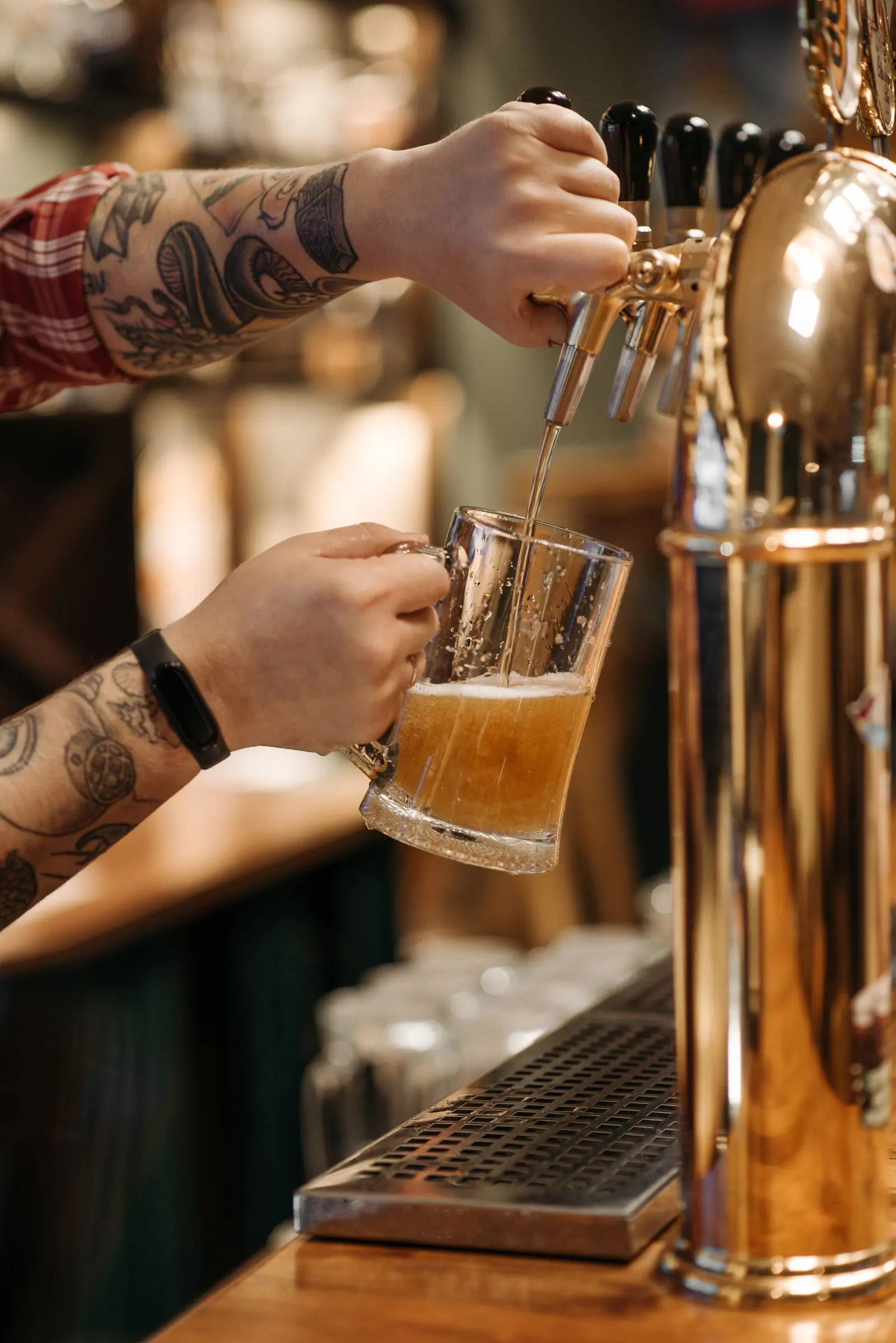 Bares y cervecerías